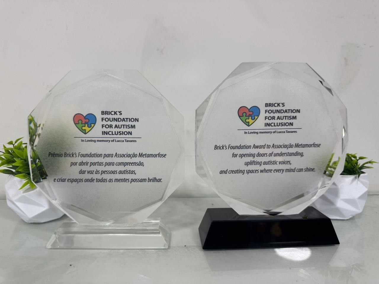The two Brick's Foundation Awards to Associação Metamorfose, in Portuguese and English
