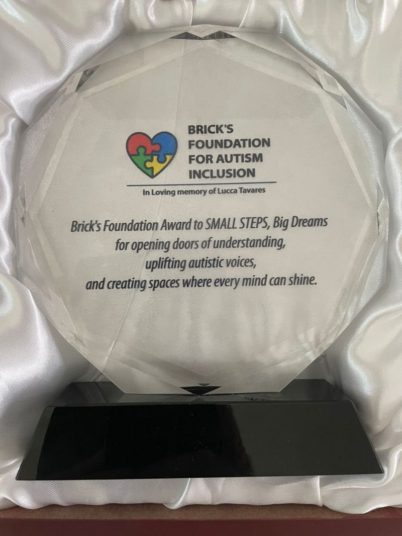 The Brick's Foundation Award to Small Steps Big Dreams