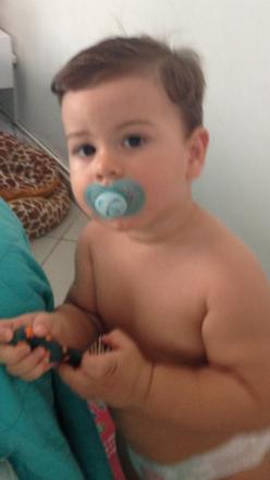 Lucca, about 1 year old