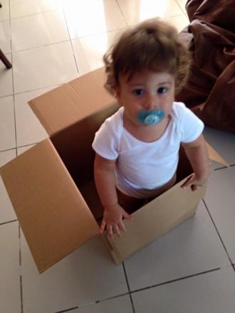 Lucca, about 1 year old