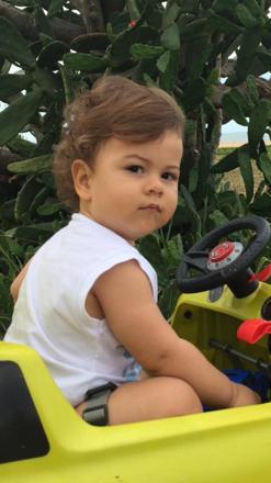 Lucca, about 2 years old