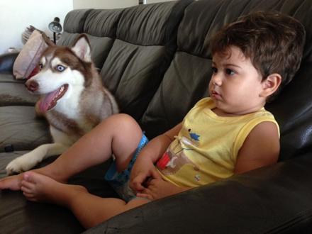Lucca, about 2 years old