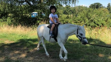 Lucca, about 4 years old